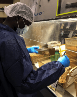 student in the lab