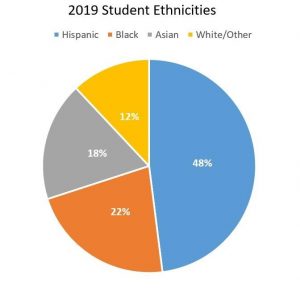 graph of student ethnicities